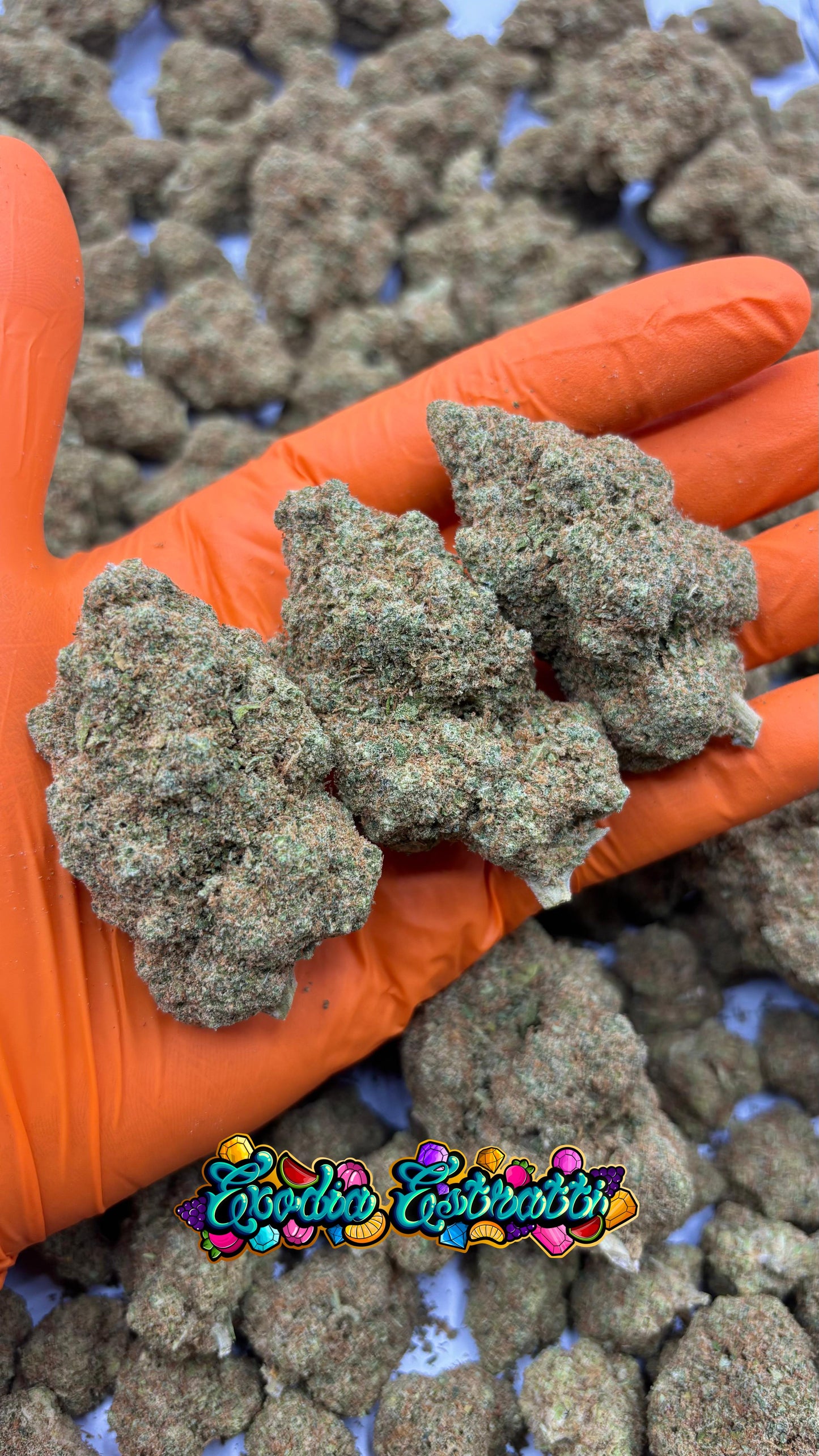 🍦🍒 Lemon Cherry Gelato CBD