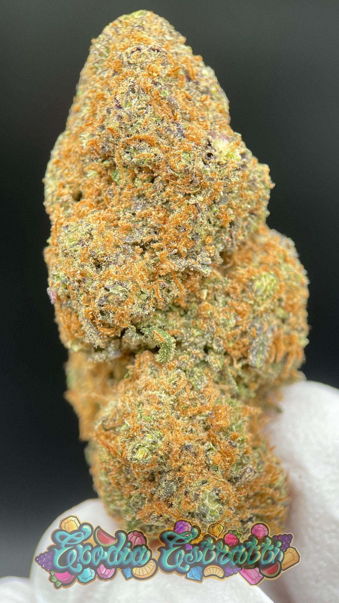 🫐⛽  Blueberry Caviar CBD