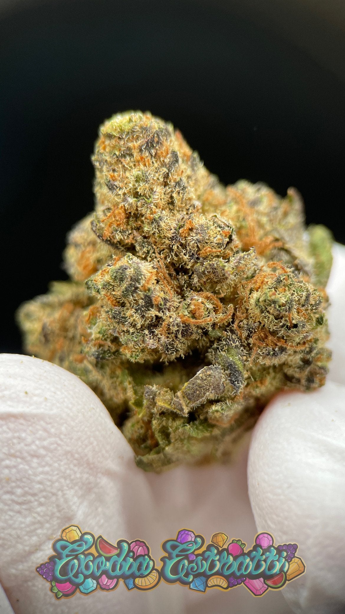 🛸👽  Miracle Alien Invaders CBD