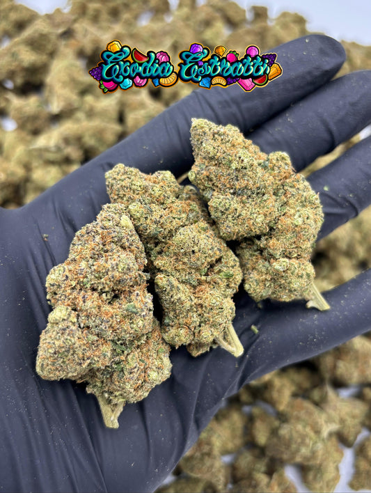 🥥🌴 El Dorado CBD