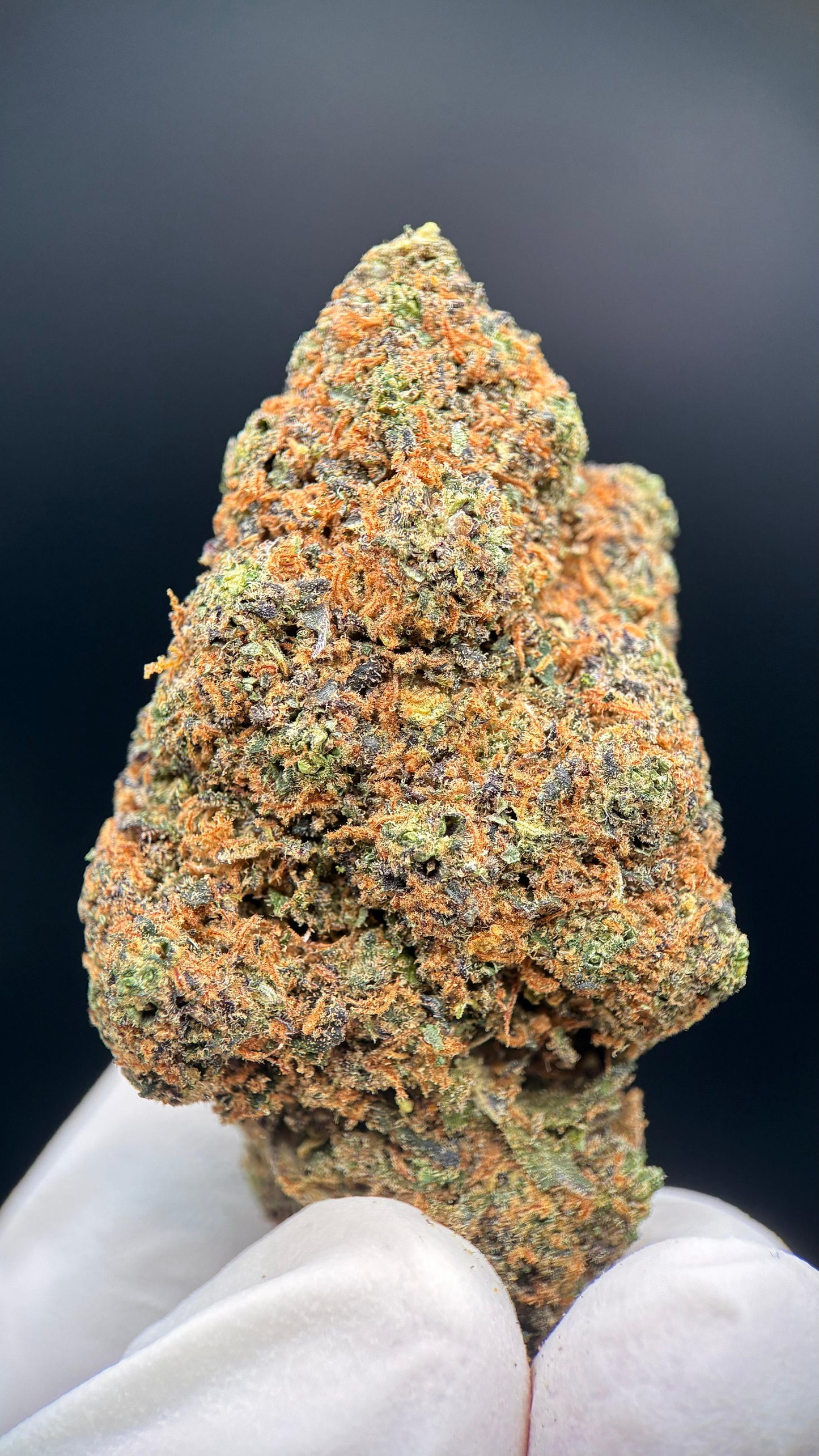 🥤🍇 Grapes and Cream