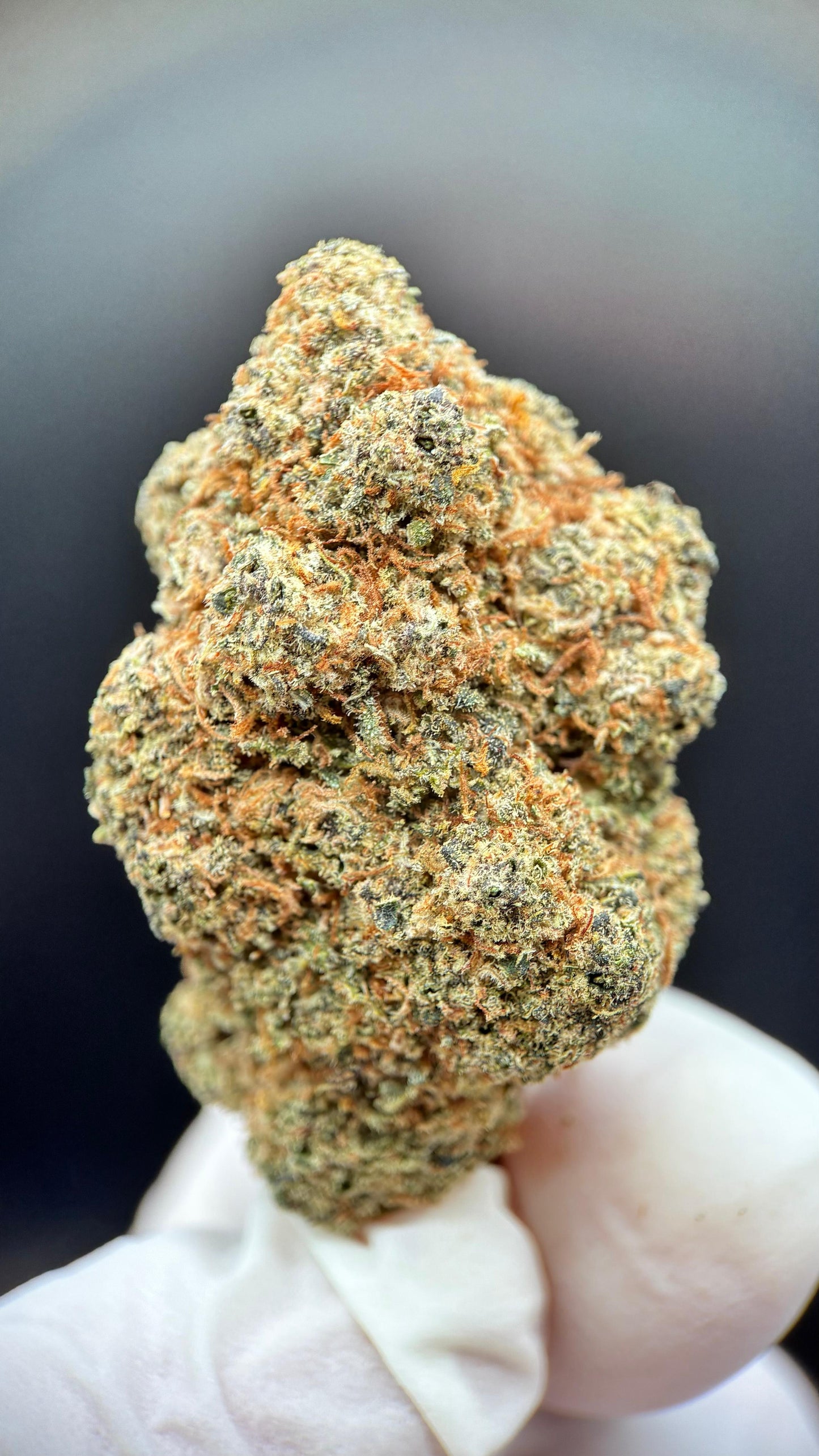 🍓⛽ Magic Marker CBD