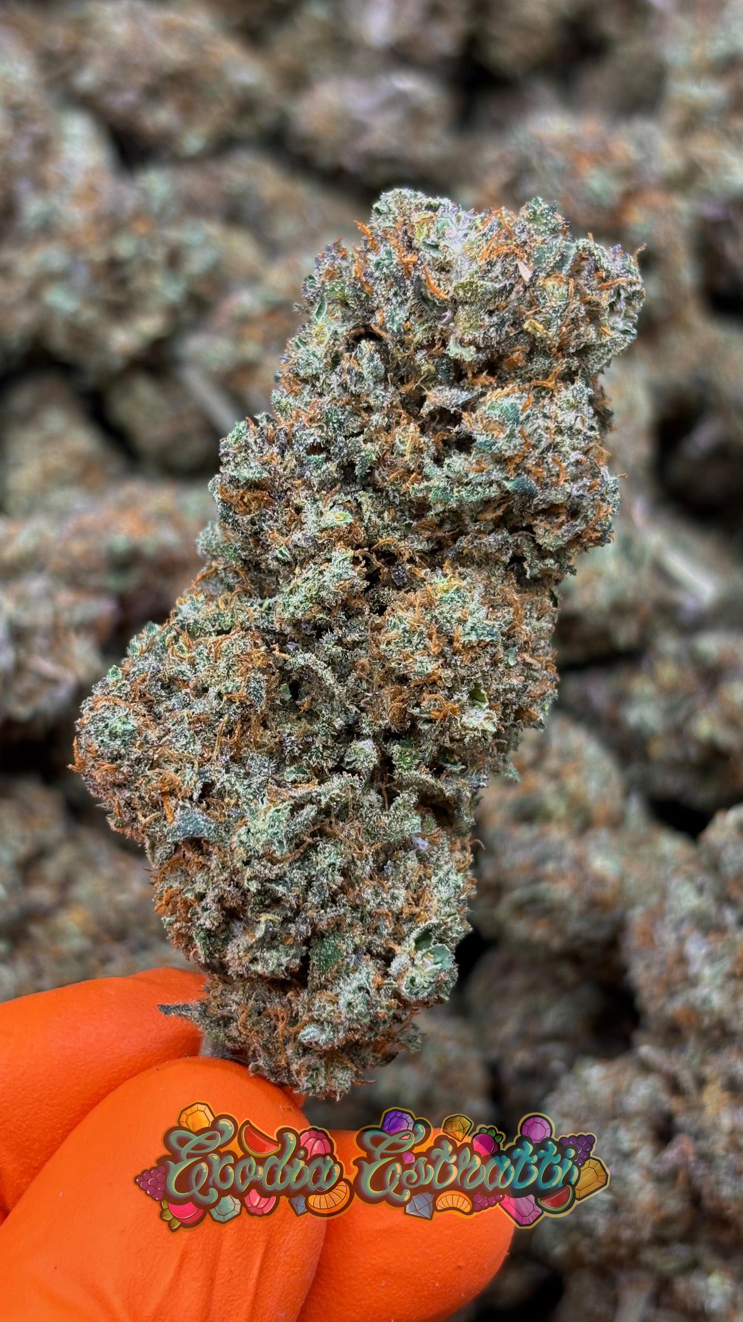 🍦🍋 Limelato CBD
