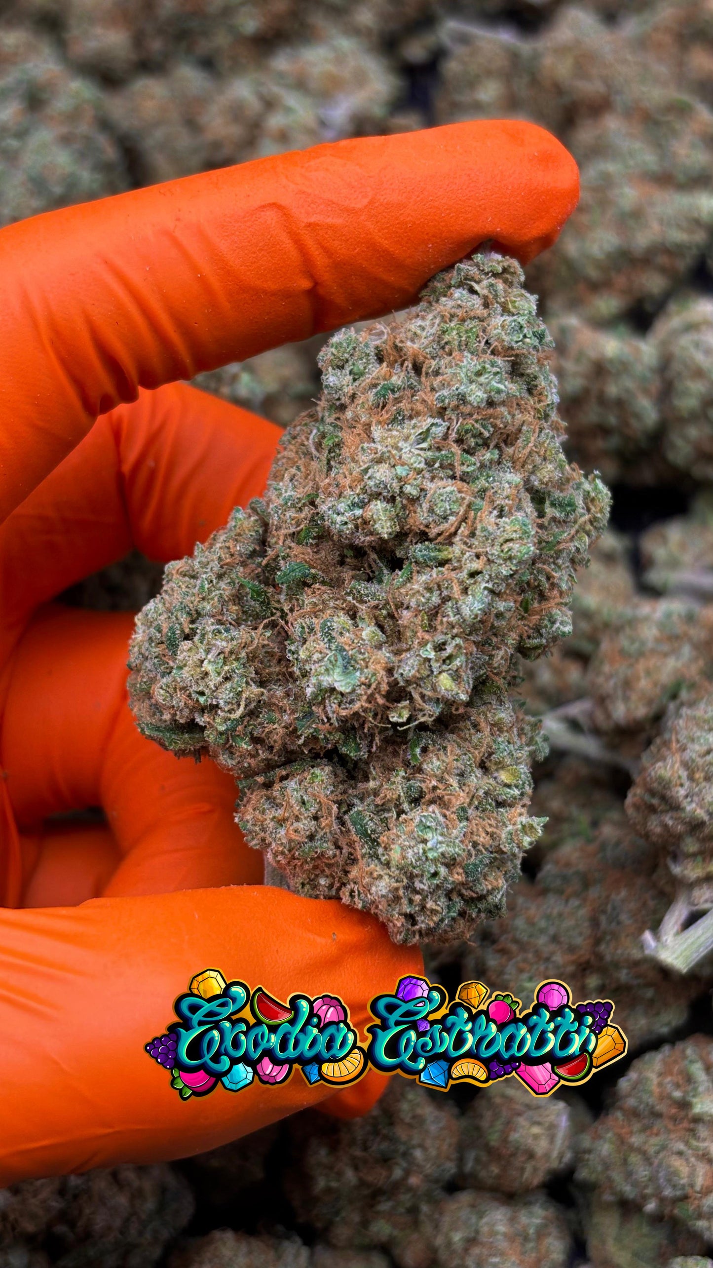 👑 ⛽  Imperial Kush CBD